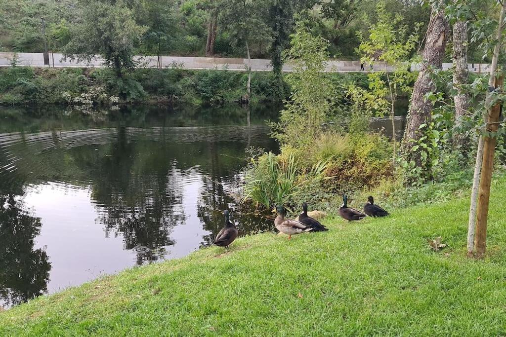 Nature E Spa Al - Termas Saude E Beleza, Totalmente Renovado - Piscinas Municipais Em Frente - Epoca Julho A Setembro São Pedro do Sul Eksteriør billede