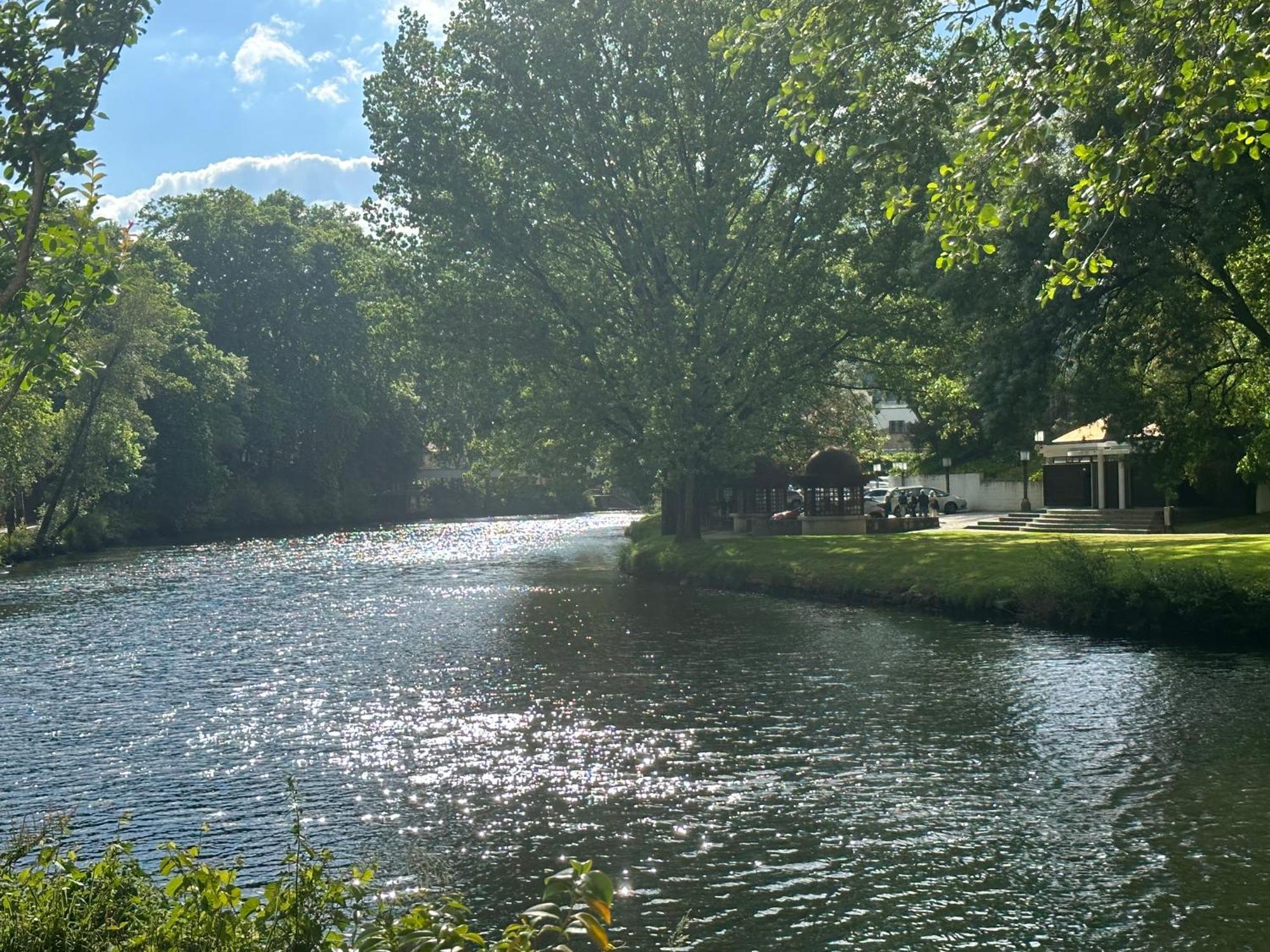 Nature E Spa Al - Termas Saude E Beleza, Totalmente Renovado - Piscinas Municipais Em Frente - Epoca Julho A Setembro São Pedro do Sul Eksteriør billede