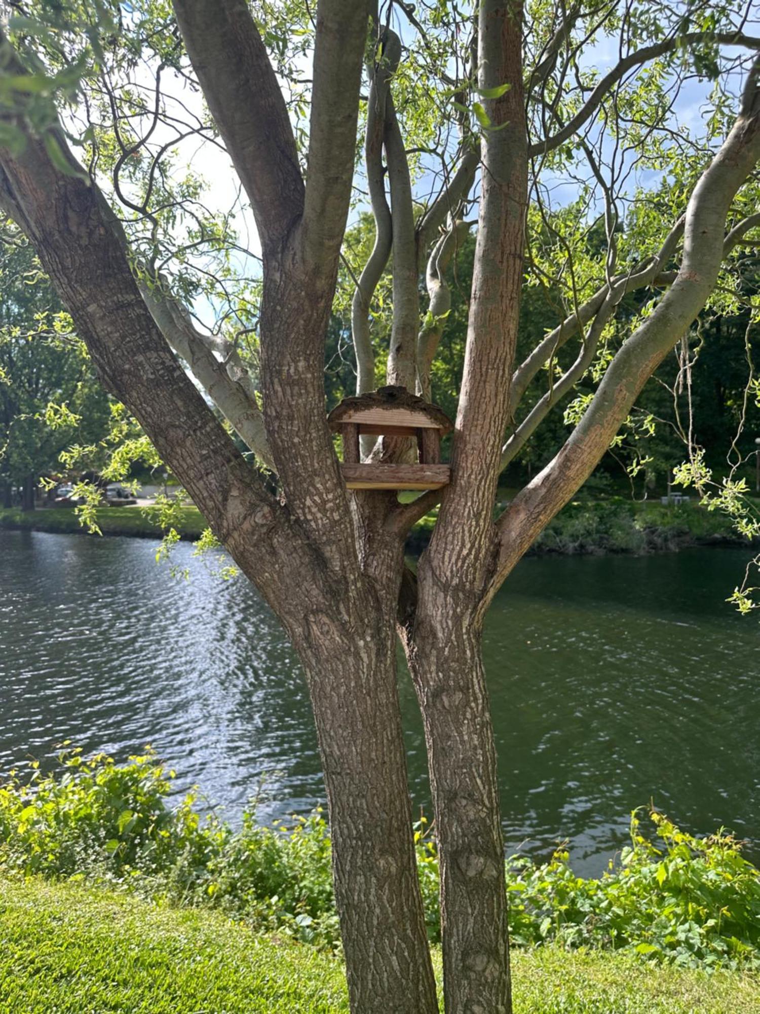 Nature E Spa Al - Termas Saude E Beleza, Totalmente Renovado - Piscinas Municipais Em Frente - Epoca Julho A Setembro São Pedro do Sul Eksteriør billede